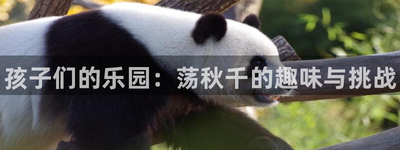 yy易游官网下载平台注册要钱吗:孩子们的乐园:荡秋千的趣味与