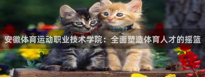 yy易游官方正版app集团:安徽体育运动职业技术学院:全面塑