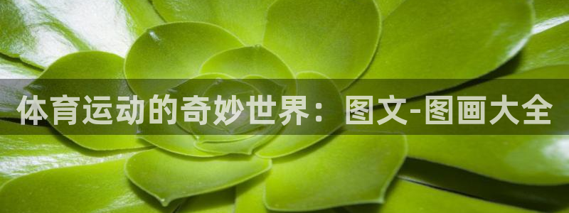 yy易游官方正版app集团:体育运动的奇妙世界:图文-图画大