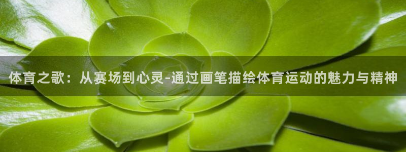 yy易游官方正版app娱乐首页官网下载:体育之歌:从赛场到心