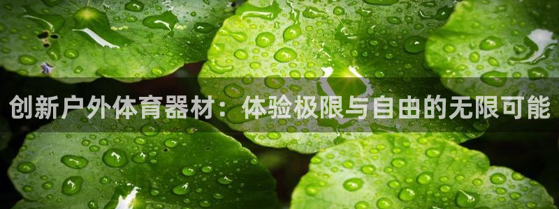 yy易游官网下载平台注册要钱吗安全吗:创新户外体育器材:体验