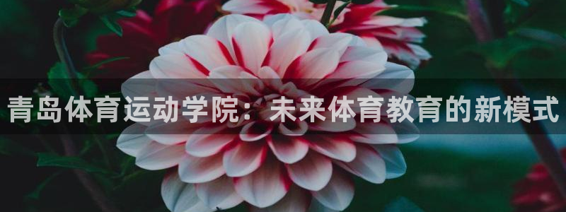 yy易游官网下载平台是正规平台吗知乎:青岛体育运动学院:未来