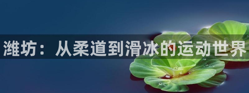 注册yy易游官方正版app:潍坊:从柔道到滑冰的运动世界