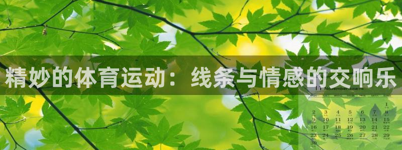 yy易游官网下载招商电话是多少:精妙的体育运动:线条与情感的