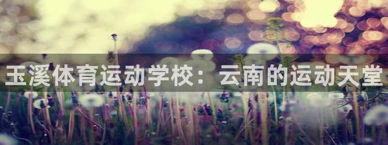yy易游官方正版app集团官网首页:玉溪体育运动学校:云南的